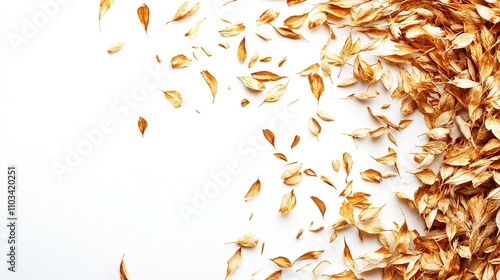 A scattering of dried petals on a white background, showcasing natural texture and color.