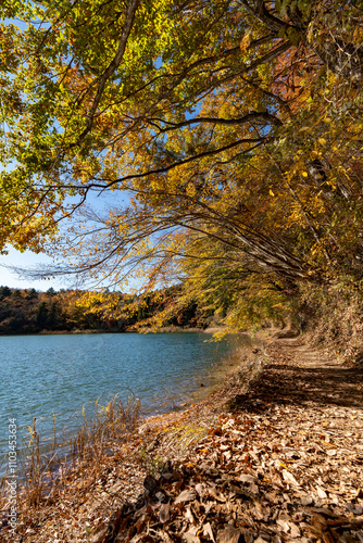 紅葉の四尾連湖 photo