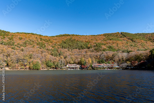 紅葉の四尾連湖 photo