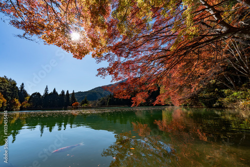 紅葉の南伊奈ヶ湖 photo