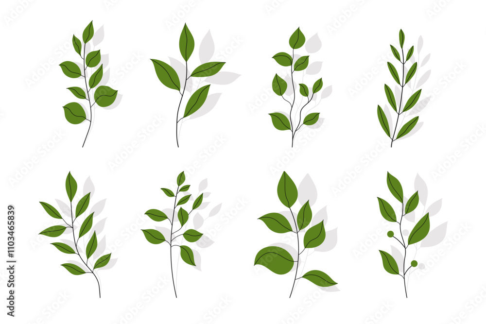 Branches with Leaves in Hand Drawn Flat Style. Branches of herbs isolated on white background. Botanical plants with leaves. Simple black ink greenery Branches with Leaves in Hand Drawn Flat Style. Branches of herbs isolated on white background. Botanical plants with leaves. Simple black ink greenery