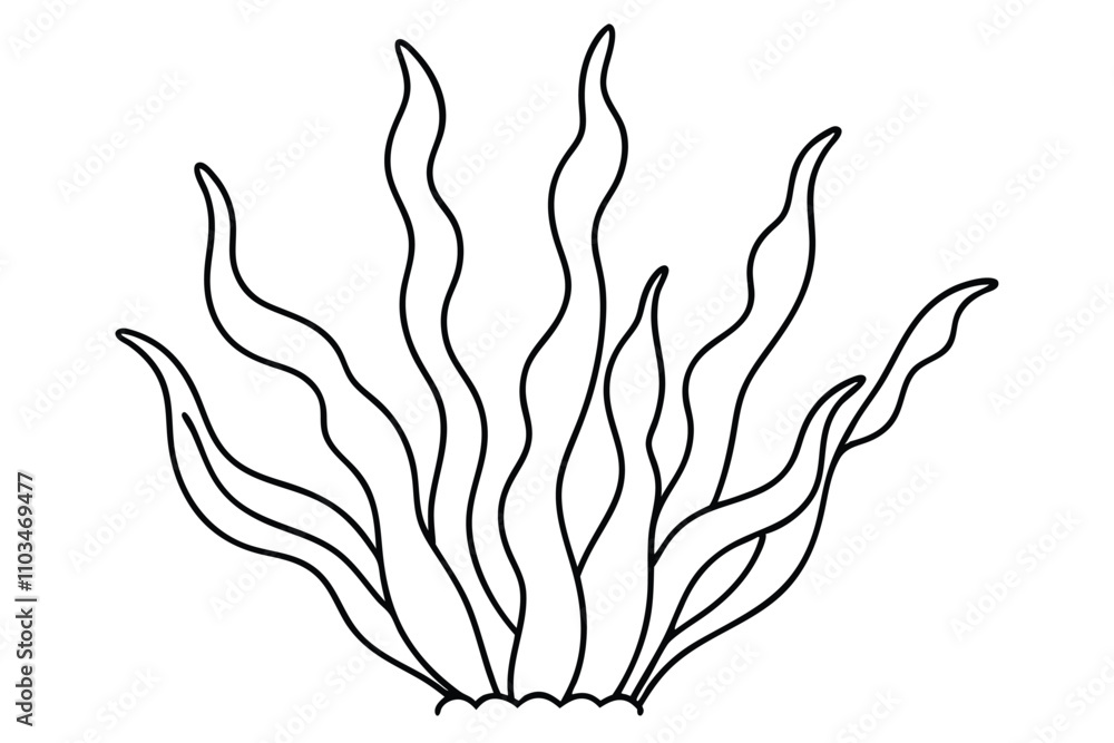 Algae line art vector illustration Algae line art vector illustration