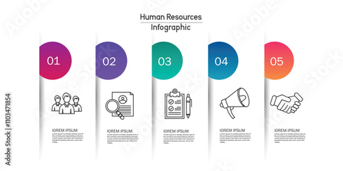 Human resources infographic element with outline icons and 5 step or option