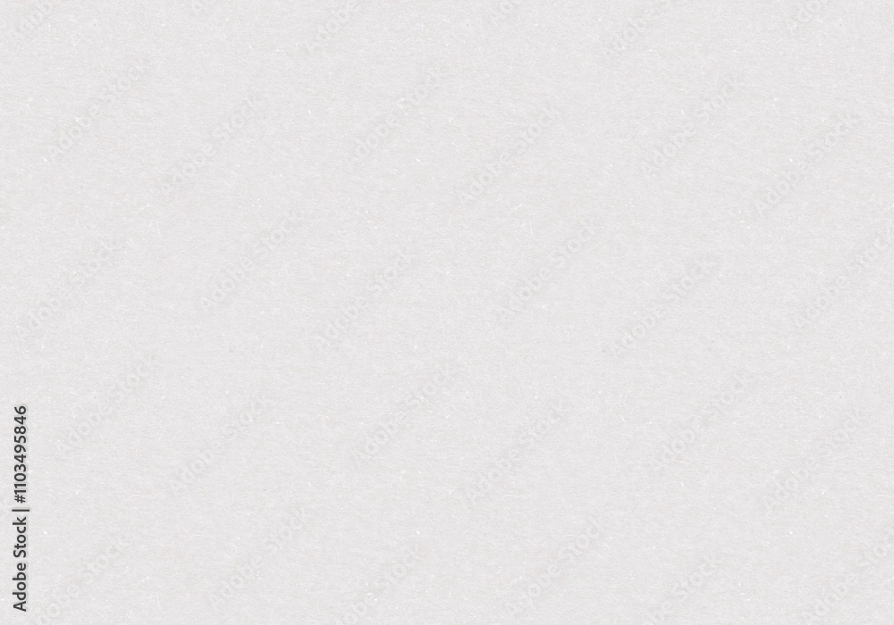 white paper background. Canvas background white paper background. Canvas background