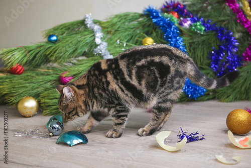 The cat filled up the Christmas tree for the New Year. Christmas tree toys were broken. photo