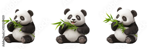 Obraz na płótnie Panda eating bamboo, three playful poses, cute expressions, fluffy fur, cartoon style, isolated on transparent background, png w salonie