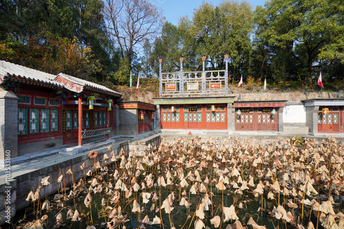 Scenery of the Remaining Lotus in Suzhou Street, Summer Palace, Beijing