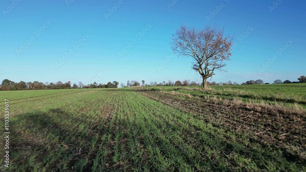 Drone shot over recently planted barley in arable farmland near the village of Chart Sutton, near Maidstone, Kent, England. Flying north rising to look over the Weald of Kent. November Drone shot over recently planted barley in arable farmland near the village of Chart Sutton, near Maidstone, Kent, England. Flying north rising to look over the Weald of Kent. November