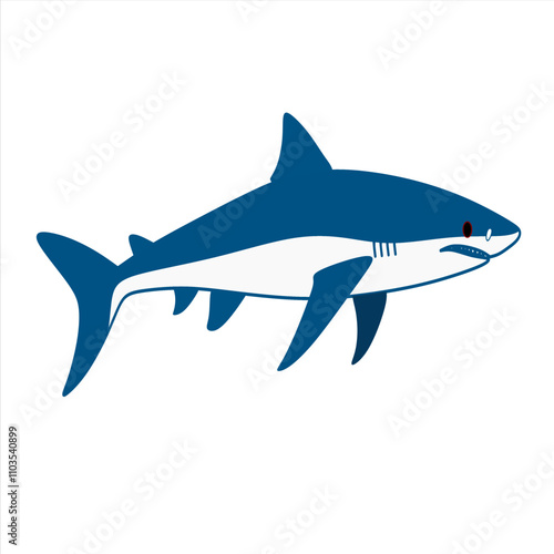 blue shark  ilustration vector