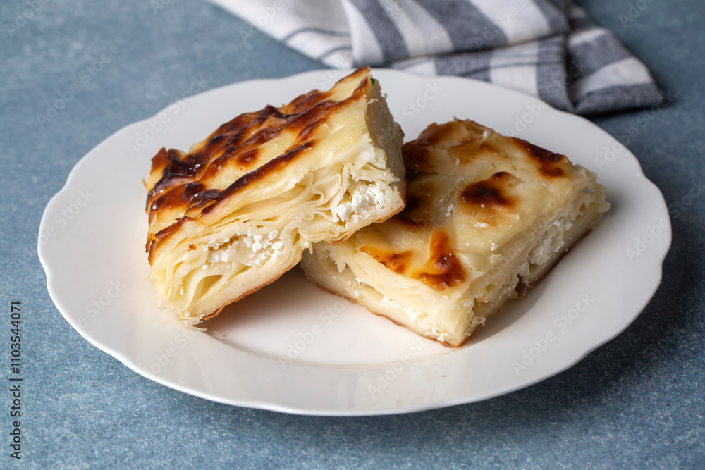 Delicious Turkish food; Tray pastry; (Turkish name; Su boregi) Delicious Turkish food; Tray pastry; (Turkish name; Su boregi)