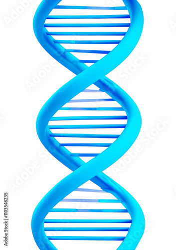 dna structure on white background