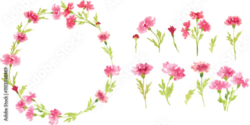 Pink carnation watercolor flower design