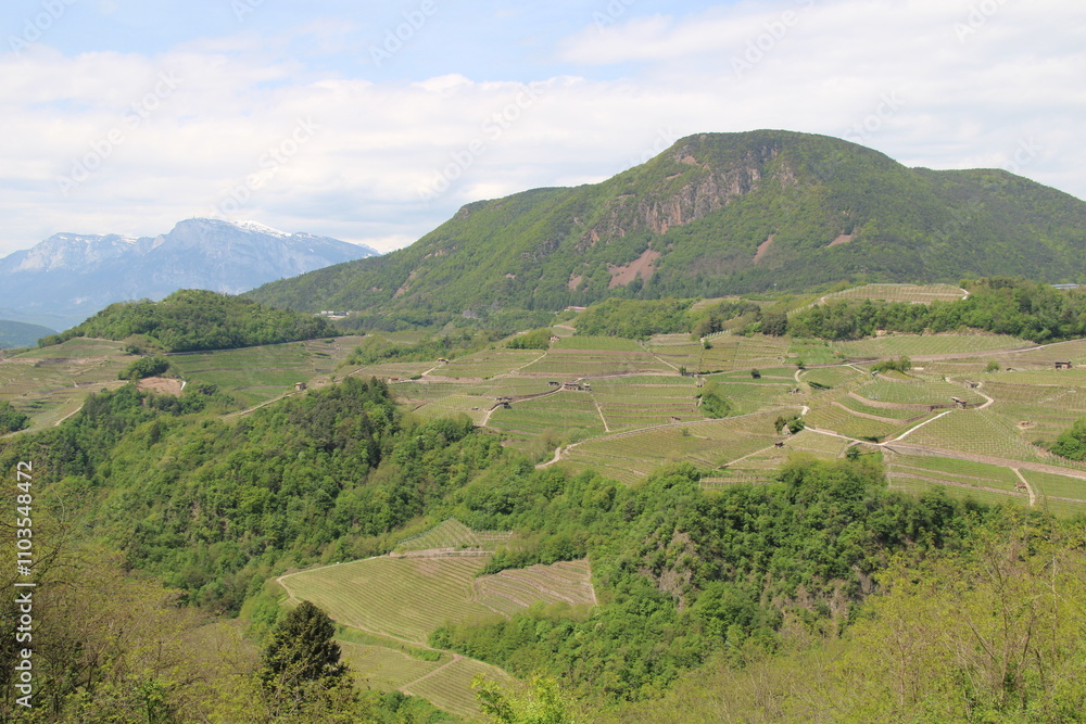 Obraz premium Meadows in the Italian Dolomites - As viewed from a slope northeast of the city of Trento