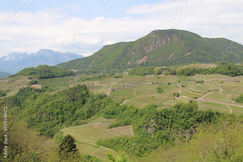 Meadows in the Italian Dolomites - As viewed from a slope northeast of the city of Trento