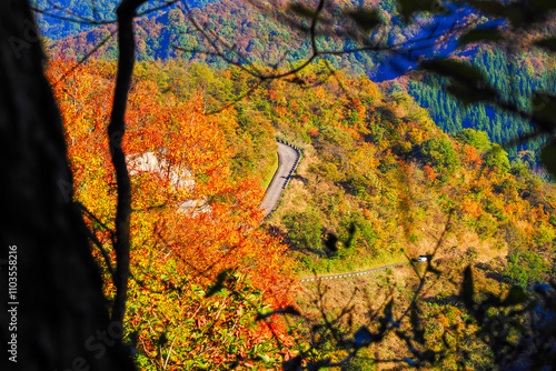 紅葉の中の道