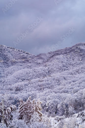 Image of mountains covered with white snow