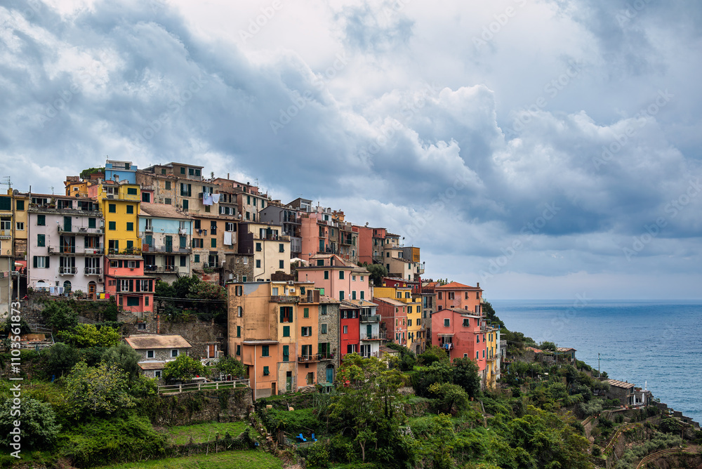 Obraz premium Colorful houses of Corniglia, Cinque Terre, Italy