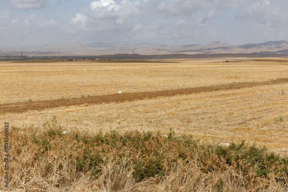Obraz premium Expansive dry landscape in Iran showcases vast agricultural fields under a cloudy sky