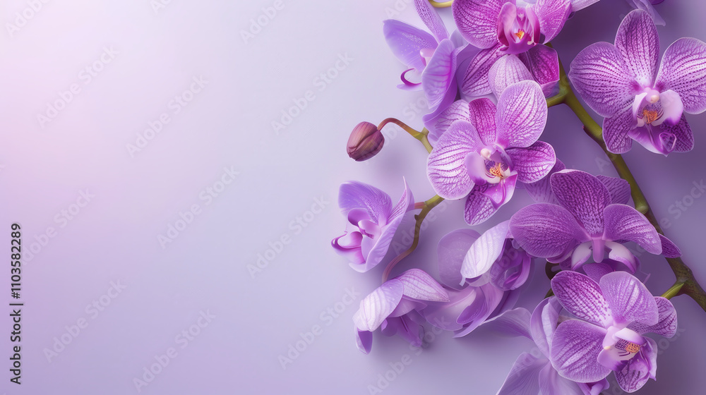 Soft Purple Floral Pattern with Lilacs and Orchids Soft Purple Floral Pattern with Lilacs and Orchids