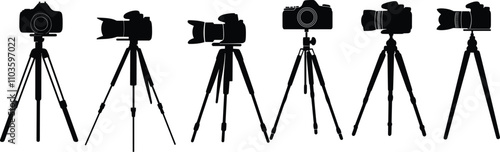 Three silhouetted photographers capturing images with tripods., world photographer day, silhouette of photographer, silhouette of photographer with camera, silhouette of female photographer with camer