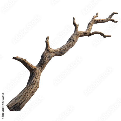 dry branch with transparent or white background photo