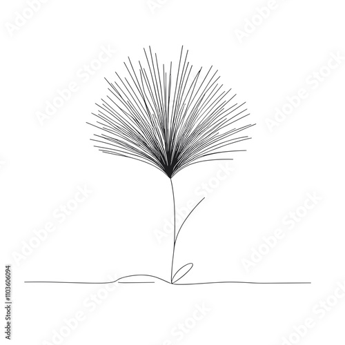 Spinifex grass outline drawing on a transparent background for Australia Day celebration