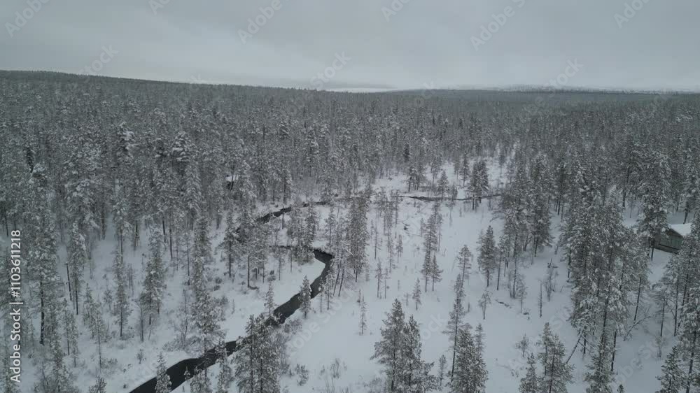 A drone flies over Finland's Lapland, tracing an unfrozen river. Snow-clad forests and trees reveal the onset of winter's. A drone flies over Finland's Lapland, tracing an unfrozen river. Snow-clad forests and trees reveal the onset of winter's.