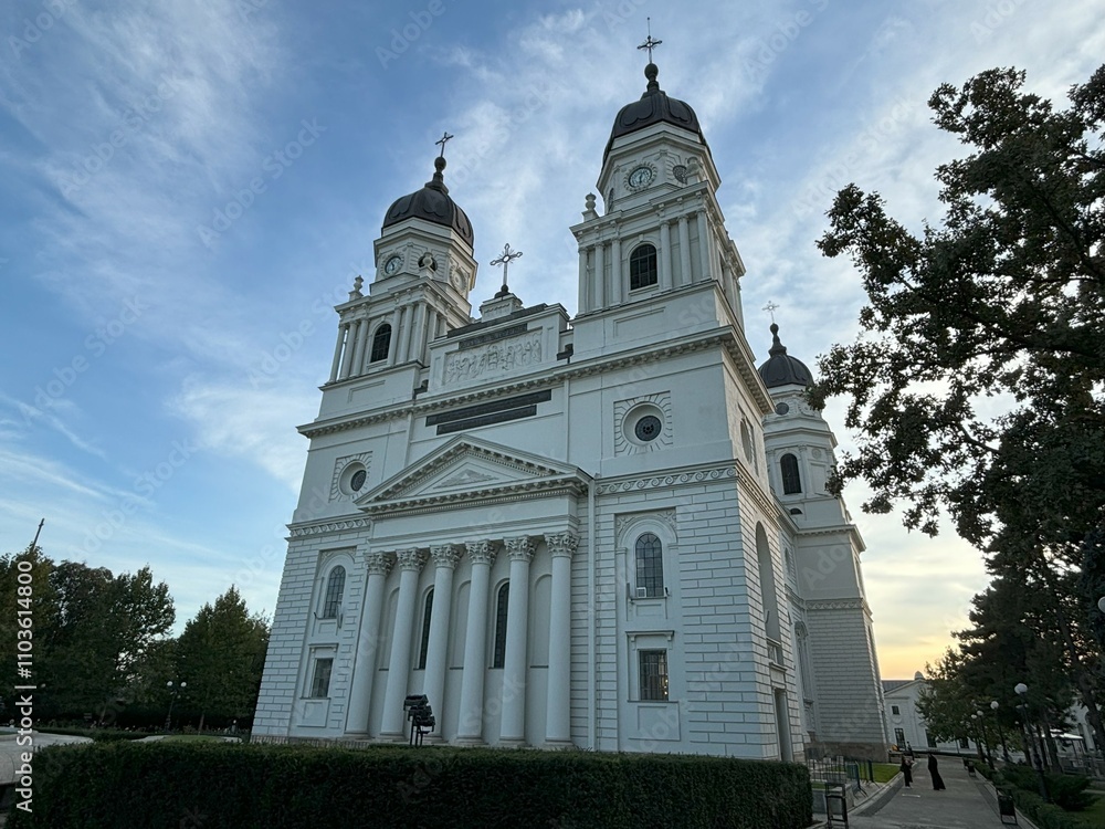 Fototapeta premium Cathedral in Iasi