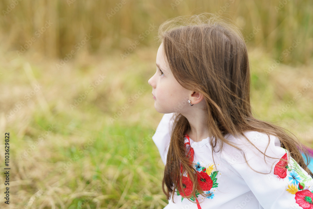 A cute little emotional girl in a traditional embroidered shirt and with a wreath stands in the middle of a field with ripe wheat. The concept of unity with traditions and nature A cute little emotional girl in a traditional embroidered shirt and with a wreath stands in the middle of a field with ripe wheat. The concept of unity with traditions and nature