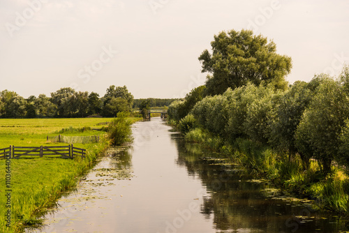 Canal through the green field in the Netherlands