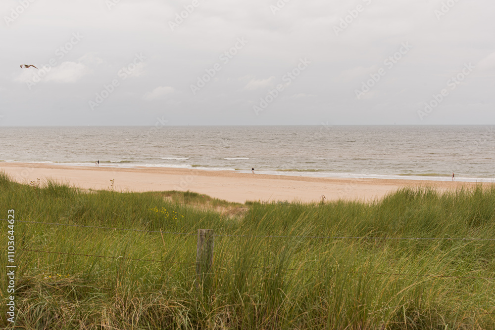 Dunes by the North Sea Coast Dunes by the North Sea Coast