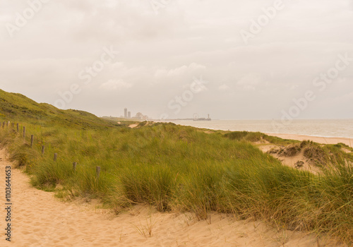 Dunes by the North Sea Coast