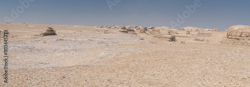 Eboliang Yardang landform located at the Qaidam Basin in Qinghai Province photo