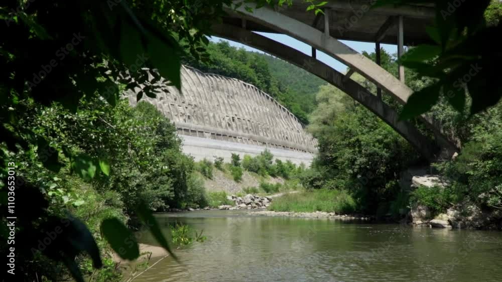 Serenity of the River Beneath the Bridge Surrounded by Greenery and Natural Beauty Serenity of the River Beneath the Bridge Surrounded by Greenery and Natural Beauty