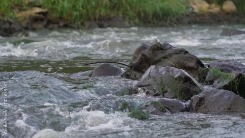 Flowing river water over rocks in a serene natural setting during daylight hours