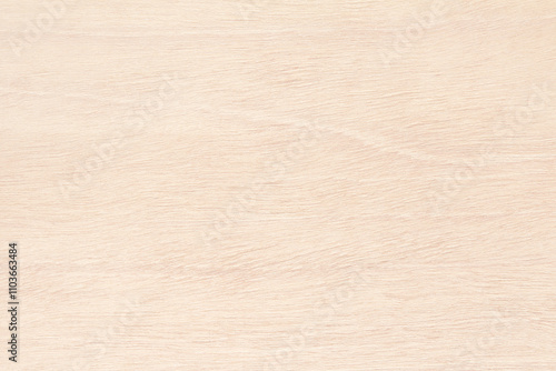 Plywood texture background, wooden surface in natural pattern for design art work.