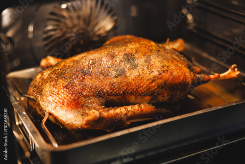 goose baked on November 11th