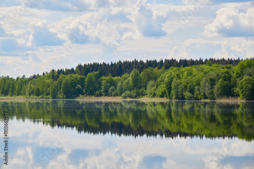 Serene lake reflections beautifully captured amidst the lush greenery of the forest