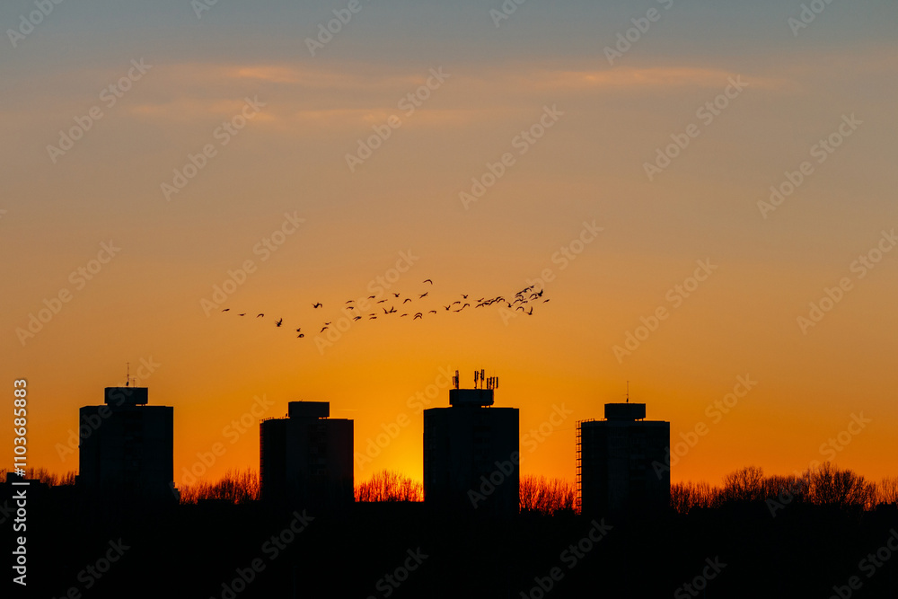Striking urban scene at sunset showcasing the silhouette of high-rise buildings against a vivid gradient sky with flock of birds mid flight Striking urban scene at sunset showcasing the silhouette of high-rise buildings against a vivid gradient sky with flock of birds mid flight