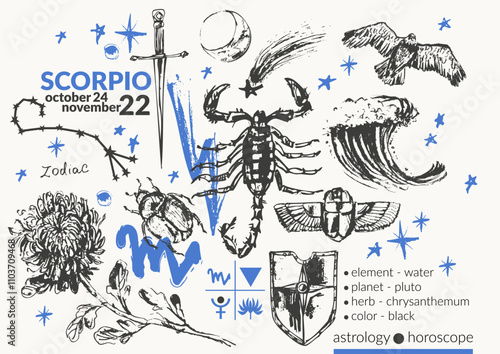 Hand drawn scorpio zodiac sign illustration, horoscope background with astrology symbols and talismans.