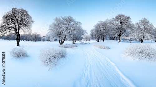 Scenic winter landscape with snow-covered trees and bushes along a path under a clear blue sky