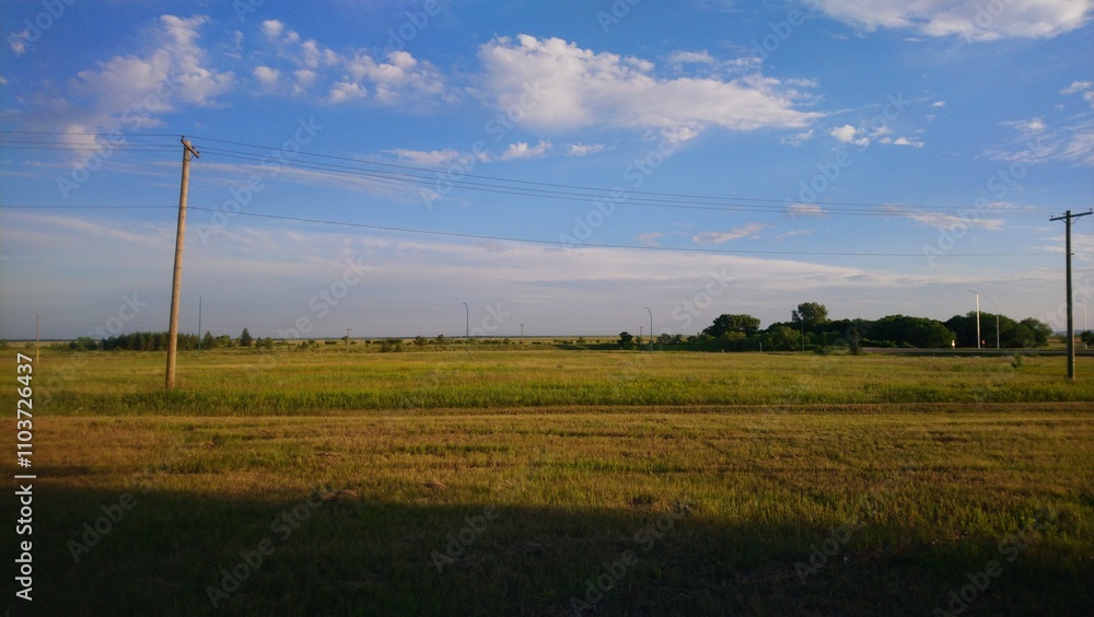Blue skies open field Blue skies open field