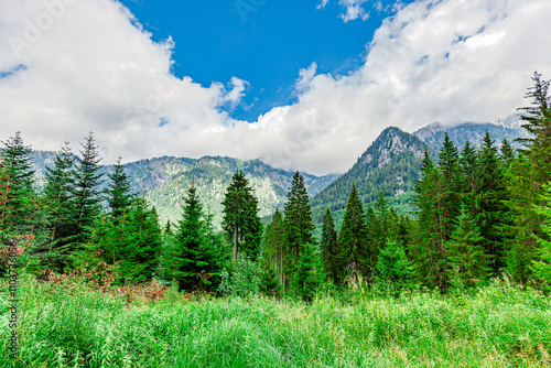 Travel Destination Tegelberg. view to Mount Tegelberg, hiking to the mountain inn Bleckenau, Hohenschwangau. Hut tour,Bleckenau,Allgäu, Hiking