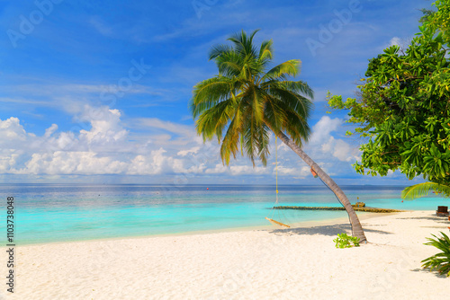Fototapeta Naklejka Na Ścianę i Meble -  Dreamlike beach with palm trees in the Maldives. Baa Atoll, Asia