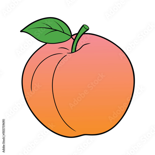 A single ripe apricot with a green leaf, a vibrant and juicy illustration.