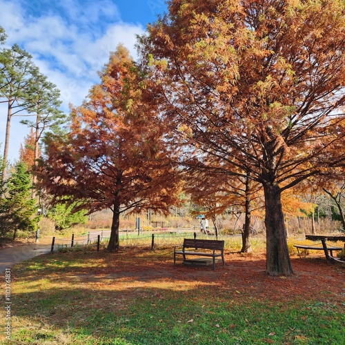 bench in autumn