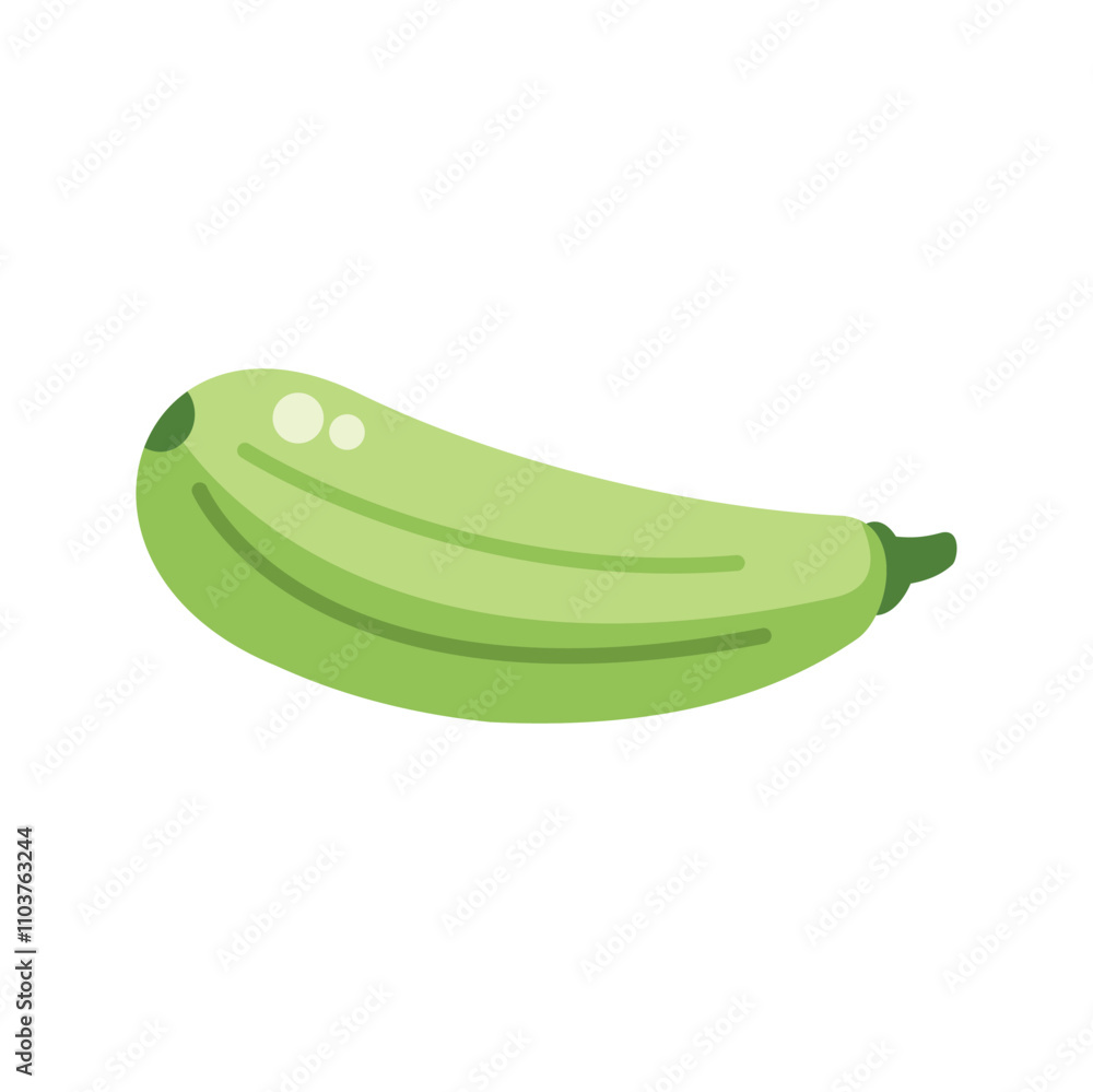 Green zucchini isolated on white background showing typical shape Green zucchini isolated on white background showing typical shape