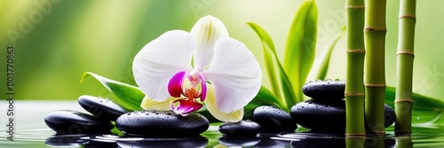 Orchid and Zen Stones with Bamboo on Green Background