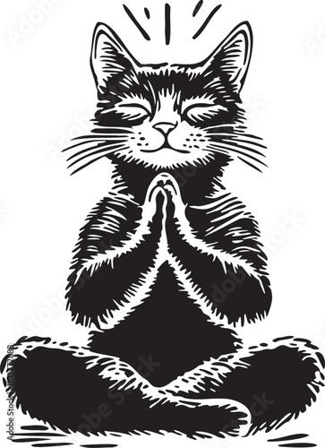 Cute meditating cat