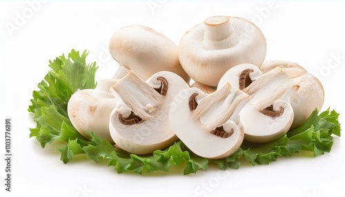 Crisp White Mushroom Slices Perfect for Your Next Recipe